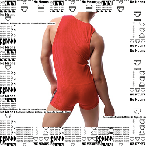 PUPPY IN RED SINGLET - NO MOONS